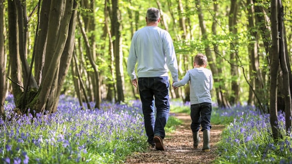 A father and son walking hand in hand along a woodland path. The surroundings are lush with green foliage, and the ground is lined with blooming bluebell flowers on either side of the path.