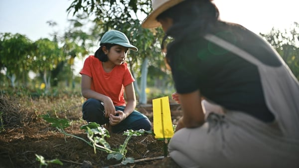 Female kid and adult female working in their farm