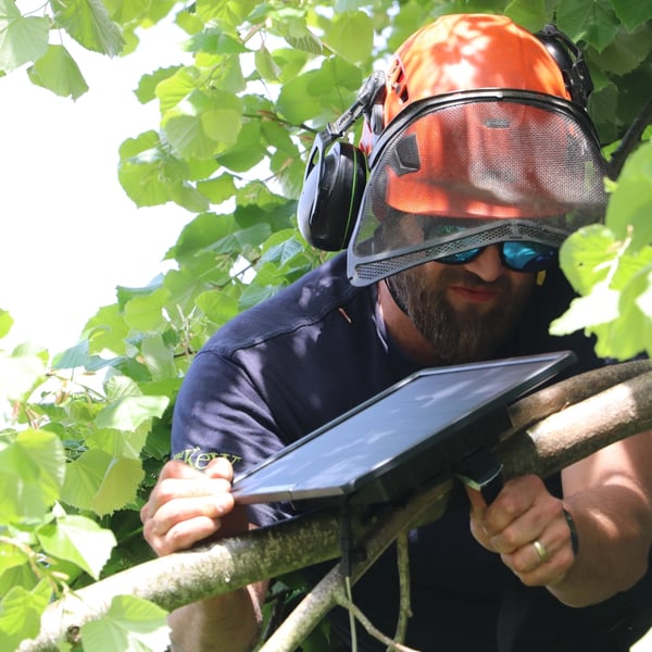 A Wakehurst arborist installing a solar panel to power a bioacoustics monitor.