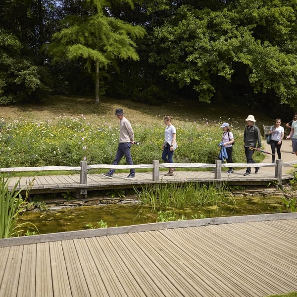 A group of people walking on a wooden pathway through a lush green park, crossing over a small pond with plants, surrounded by trees and bushes.