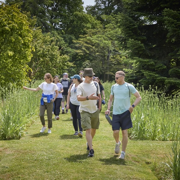 A group of people walking along a grassy path surrounded by tall green plants and trees, dressed in casual outdoor clothing with some wearing hats and carrying backpacks.