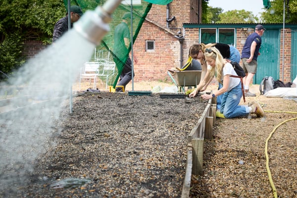 People working in a garden near a brick building, with a hose spraying water onto the soil and others tending to the ground with gardening tools.